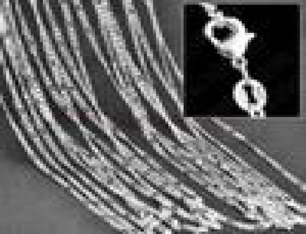 10pcslot 2mm figaro chain 925 sterling silver jewelry necklace chains with lobster clasps size 16 18 20 22 24 26 28 30 inch9760109
10pcslot 2mm figaro chain 925 sterling silver jewelry necklace chains with lobster clasps size 16 18 20 22 24 26 28 30 inch9760109