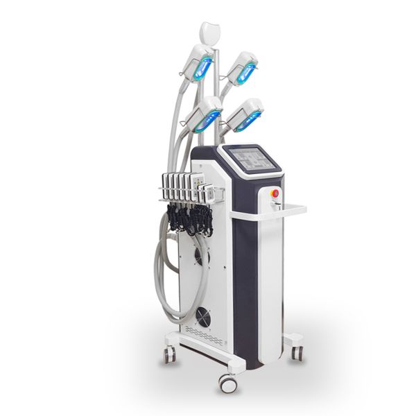 lipo massage lipolaser cryolipolyse fat ing slimming machine 5 cryo handles slim treatment body reshape e 40k cvitation
lipo massage lipolaser cryolipolyse fat ing slimming machine 5 cryo handles slim treatment body reshape e 40k cvitation