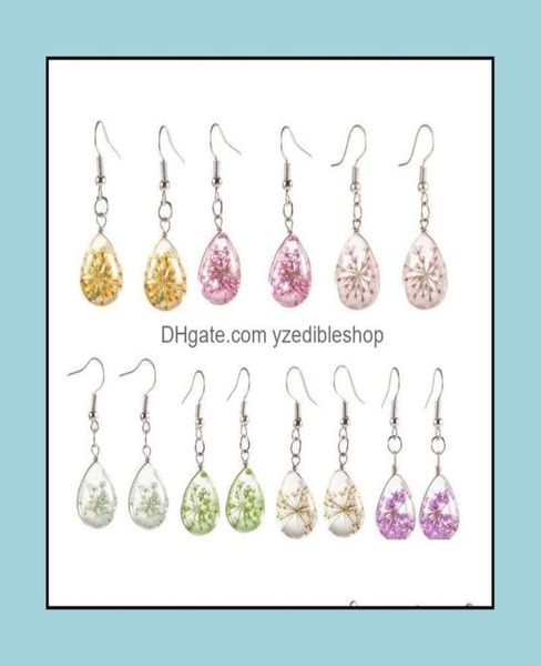dangle chandelier earrings jewelry real dried flower fashion womens waterdrop glass statement sier plated drop delivery 2021 c7m1173002, Silver
dangle chandelier earrings jewelry real dried flower fashion womens waterdrop glass statement sier plated drop delivery 2021 c7m1173002, Silver