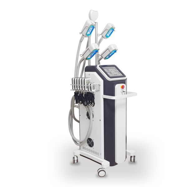 cryolipolysis with 5 cryo handles rf facial lifting lipo pads laser cavitation 360 degree double chin fat e slimming machine 10in1
cryolipolysis with 5 cryo handles rf facial lifting lipo pads laser cavitation 360 degree double chin fat e slimming machine 10in1