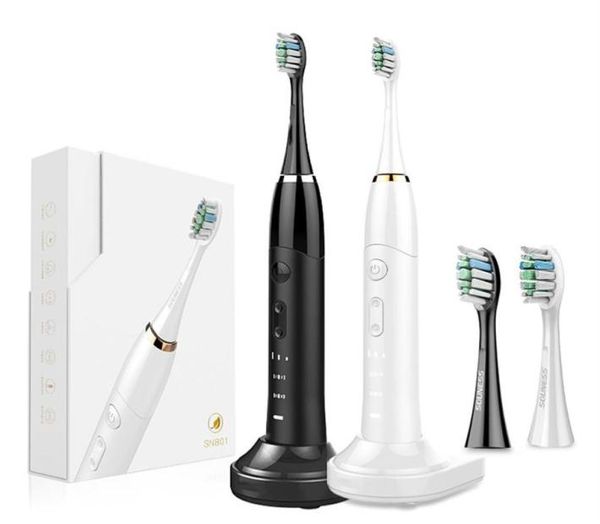 rechargeable portable frequency conversion electric toothbrushteeth cleaning and whitening toothbrush souness sn801 &2 pcs b280x5603852
rechargeable portable frequency conversion electric toothbrushteeth cleaning and whitening toothbrush souness sn801 &2 pcs b280x5603852