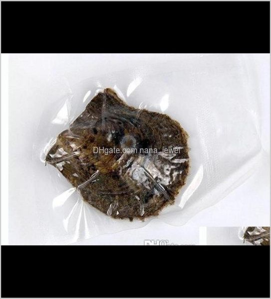 loose beads drop delivery round natural 67mm pearl in oysters akoya seawater oyster shell colouful pearls jewelry fancy party gif5277167, White
loose beads drop delivery round natural 67mm pearl in oysters akoya seawater oyster shell colouful pearls jewelry fancy party gif5277167, White