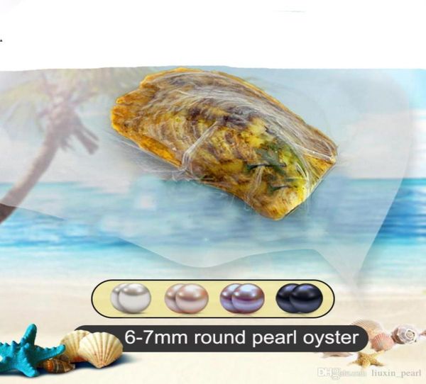 seawater natural akoya round pearls loose beads cultured fresh oyster pearl mussel farm supply drop whole 67mm multic75510744520737, White
seawater natural akoya round pearls loose beads cultured fresh oyster pearl mussel farm supply drop whole 67mm multic75510744520737, White