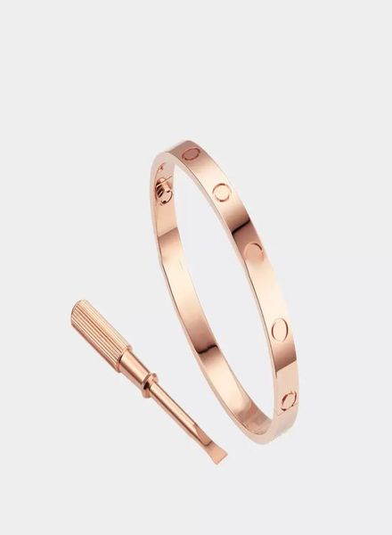 fashion luxury screw bangle bracelet designer bracelets for women man love braclet titanium steel charms screwdriver jewelry 3colo3043188, Black
fashion luxury screw bangle bracelet designer bracelets for women man love braclet titanium steel charms screwdriver jewelry 3colo3043188, Black
