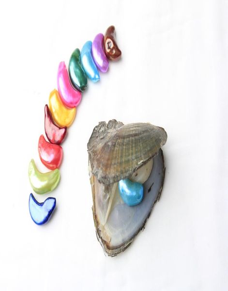 new arrival 825 mm crescent pearl freshwater oyster edison freshwater pearl with beautiful colors for gift7633925, White
new arrival 825 mm crescent pearl freshwater oyster edison freshwater pearl with beautiful colors for gift7633925, White