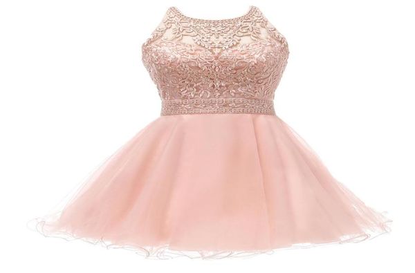 new blush short prom dresses halter lace appliques beaded a line ruffles skirt crisscross back homecoming dress graduation prom g3066467, Blue;pink
new blush short prom dresses halter lace appliques beaded a line ruffles skirt crisscross back homecoming dress graduation prom g3066467, Blue;pink