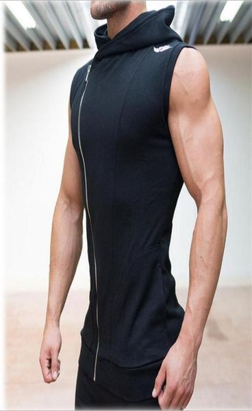 fashion l be cotton hoodie sweatshirts fitness clothes bodybuilding tank men sleeveless tees shirt hoodies vest7354818, White;black
fashion l be cotton hoodie sweatshirts fitness clothes bodybuilding tank men sleeveless tees shirt hoodies vest7354818, White;black