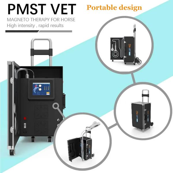 pemf equine magnetic theraoy for horses sport injury pain treatment machine
pemf equine magnetic theraoy for horses sport injury pain treatment machine