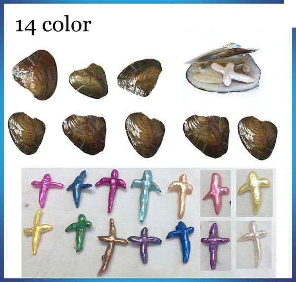 cross pearl oyster 2019 new 14 mix colors freshwater shell natural cultured sea wateoyster pearl mussel farm supply whole1982717, White
cross pearl oyster 2019 new 14 mix colors freshwater shell natural cultured sea wateoyster pearl mussel farm supply whole1982717, White