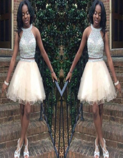 new fashion two pieces homecoming dresses halter beading open back short prom party gowns champagne tulle skirt cocktail formal dr6467350, Blue;pink
new fashion two pieces homecoming dresses halter beading open back short prom party gowns champagne tulle skirt cocktail formal dr6467350, Blue;pink