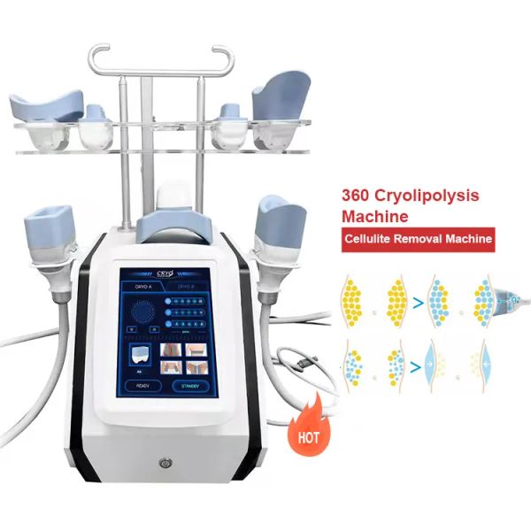360 cryo fat e cryolipolisis machine fat e cryolipolysis device cryo facial machine 360 mini fat ing machine
360 cryo fat e cryolipolisis machine fat e cryolipolysis device cryo facial machine 360 mini fat ing machine