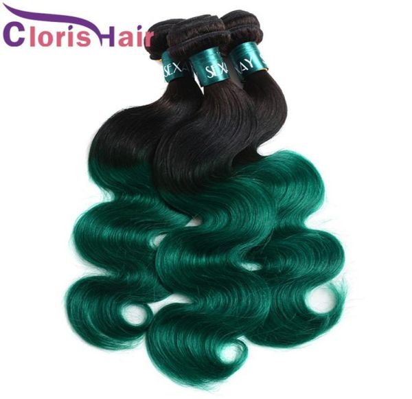 shiny turquoise green ombre body wave brazilian virgin human hair bundles dark roots wavy weave 100gpcs tight sew in colored exte2493349, Black
shiny turquoise green ombre body wave brazilian virgin human hair bundles dark roots wavy weave 100gpcs tight sew in colored exte2493349, Black