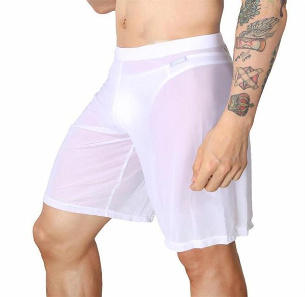 underpants boxer shorts men underwear mesh sleep bottoms pajama long gay sissy transparent cute panties u pouch white6654894, Black;white
underpants boxer shorts men underwear mesh sleep bottoms pajama long gay sissy transparent cute panties u pouch white6654894, Black;white