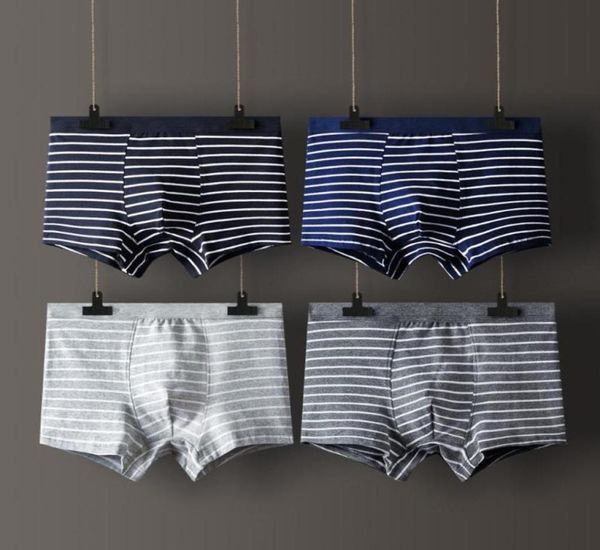underpants 4 pcs striped men underwear cotton large size panties boxer male solid men039s shorts breathable l3xl5640050, Black;white
underpants 4 pcs striped men underwear cotton large size panties boxer male solid men039s shorts breathable l3xl5640050, Black;white