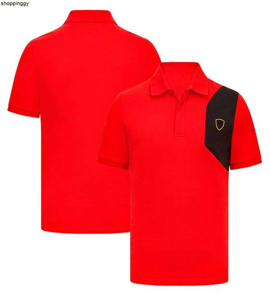 men's t-shirts f1 team 2023 short sleeve polo shirt lapel sports t-shirt plus size custom racing clothes, White;black