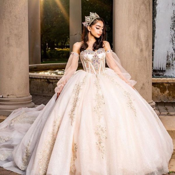champagne glittering sweetheart quinceanera dress off shoulder long sleeved beading floral applique vestidos de 15 anos ball gown, Blue;red
champagne glittering sweetheart quinceanera dress off shoulder long sleeved beading floral applique vestidos de 15 anos ball gown, Blue;red