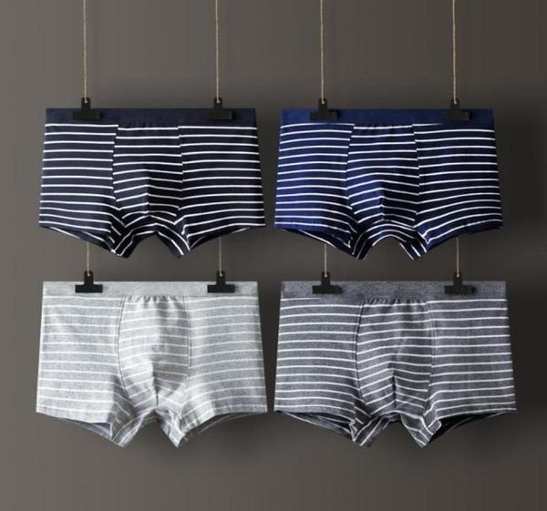 underpants 4 pcs striped men underwear cotton large size panties boxer male solid men039s shorts breathable l3xl6661605, Black;white
underpants 4 pcs striped men underwear cotton large size panties boxer male solid men039s shorts breathable l3xl6661605, Black;white