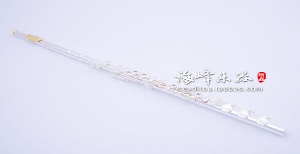 armstrong 800b 17 holes c tune concert performance musical instrument flute silver plated tube with case cleaning clo3096563
armstrong 800b 17 holes c tune concert performance musical instrument flute silver plated tube with case cleaning clo3096563