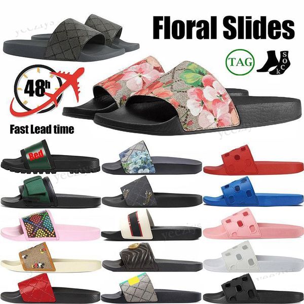 designer sandals flat slippers flowers bee tiger blooms floral brocade for men women gear bottoms flip flops striped slide wide beach shoes, Black
designer sandals flat slippers flowers bee tiger blooms floral brocade for men women gear bottoms flip flops striped slide wide beach shoes, Black