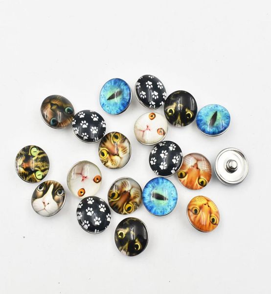 mixed cat eye paw glass snap button charm for glass cabochons jewelry fit ginger snap ringnecklace women jewelry1990372, Bronze;silver
mixed cat eye paw glass snap button charm for glass cabochons jewelry fit ginger snap ringnecklace women jewelry1990372, Bronze;silver