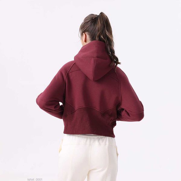 lu align scuba yoga lady fitness hoody coat loose full zip running hooded long sleeve pullover woman gym sweatshirts clothes outdoor eccj, Black;brown
lu align scuba yoga lady fitness hoody coat loose full zip running hooded long sleeve pullover woman gym sweatshirts clothes outdoor eccj, Black;brown