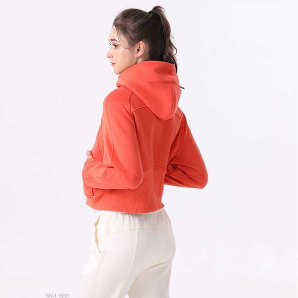 lu align scuba yoga lady fitness hoody coat loose full zip running hooded long sleeve pullover woman gym sweatshirts clothes outdoor 71wn, Black;brown
lu align scuba yoga lady fitness hoody coat loose full zip running hooded long sleeve pullover woman gym sweatshirts clothes outdoor 71wn, Black;brown
