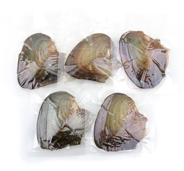individually wrapped oysters with natural large round pearls 610mm gift jewelry choose6978666, White
individually wrapped oysters with natural large round pearls 610mm gift jewelry choose6978666, White