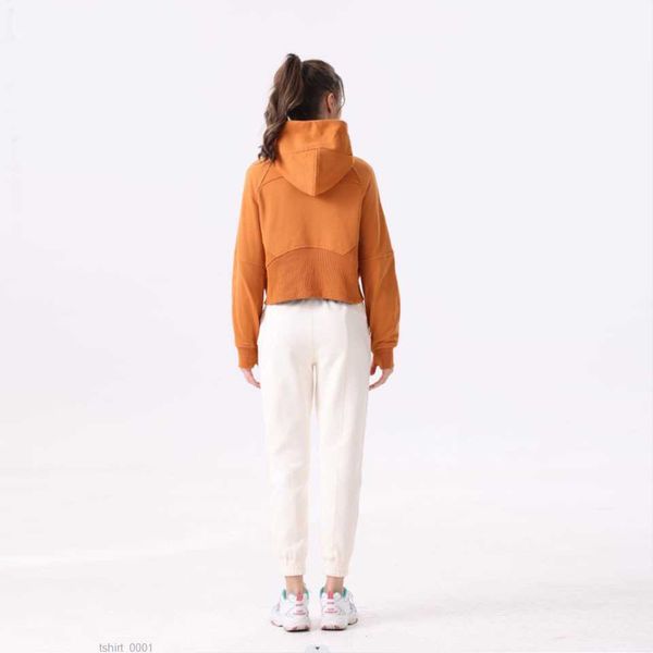 lu align scuba yoga lady fitness hoody coat loose full zip running hooded long sleeve pullover woman gym sweatshirts clothes outdoor a8yp, Black;brown
lu align scuba yoga lady fitness hoody coat loose full zip running hooded long sleeve pullover woman gym sweatshirts clothes outdoor a8yp, Black;brown