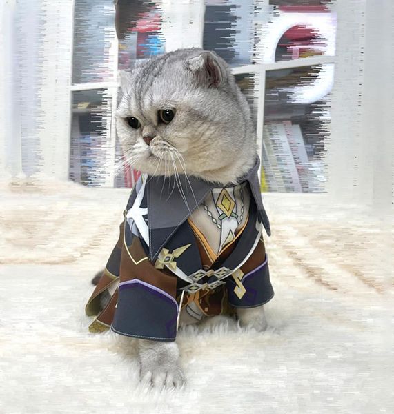 anime costumes genshin impact zhongli cosplay dog cat pet clothes jacket coat clothing outfit3874286, Black
anime costumes genshin impact zhongli cosplay dog cat pet clothes jacket coat clothing outfit3874286, Black