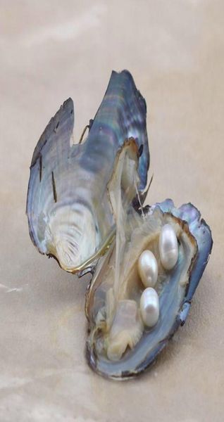100pcslot oval akoya pearl oyster white pink purple 78mm natural pearl diy pearl loose decorations jewelry vacuum packaging whol9996643
100pcslot oval akoya pearl oyster white pink purple 78mm natural pearl diy pearl loose decorations jewelry vacuum packaging whol9996643