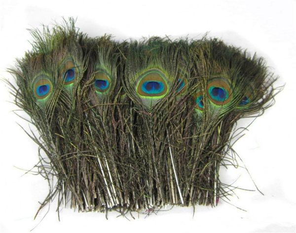 98pcslot natural peacock feather 2530cm clothing decoration plumage fashion crafts and stage interior decoration material5349465, Blue;slivery
98pcslot natural peacock feather 2530cm clothing decoration plumage fashion crafts and stage interior decoration material5349465, Blue;slivery