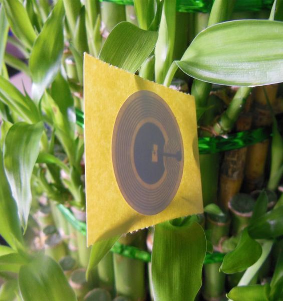 100pieceslot whole dia25mm ntag215 nfc stickers amibo tags for tagmo nfc forum type 2 tag9833849
100pieceslot whole dia25mm ntag215 nfc stickers amibo tags for tagmo nfc forum type 2 tag9833849