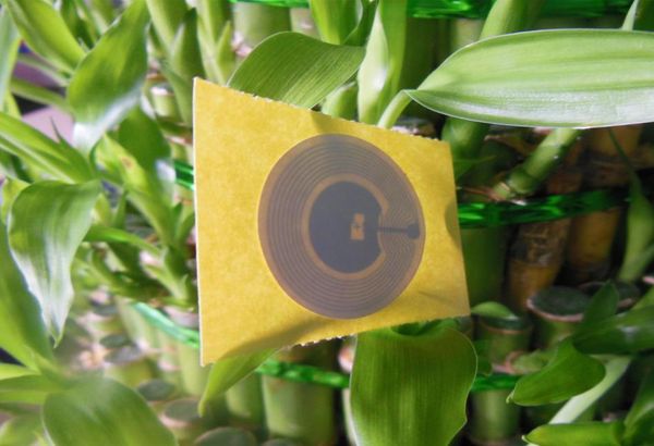 100pieceslot whole dia25mm ntag215 nfc stickers amibo tags for tagmo nfc forum type 2 tag5895764
100pieceslot whole dia25mm ntag215 nfc stickers amibo tags for tagmo nfc forum type 2 tag5895764