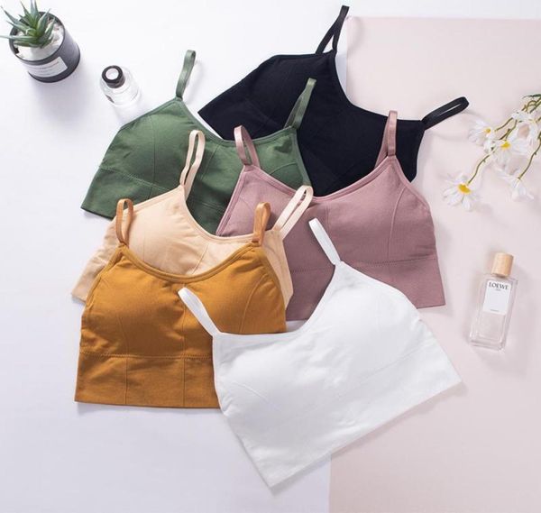 camisoles tanks women crop seamless underwear female tank camis lingerie intimates removable padded camisole femme spo6472442, Black;white
camisoles tanks women crop seamless underwear female tank camis lingerie intimates removable padded camisole femme spo6472442, Black;white