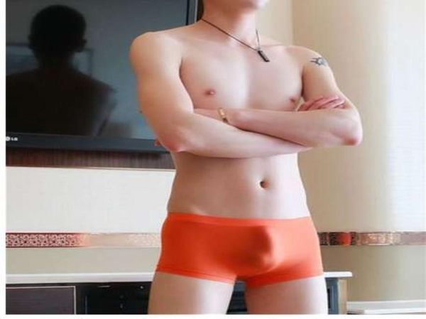 seamless boxer men underwear transparent trunks bulge men039s shorts cuecas underpants2250074, Black;white
seamless boxer men underwear transparent trunks bulge men039s shorts cuecas underpants2250074, Black;white