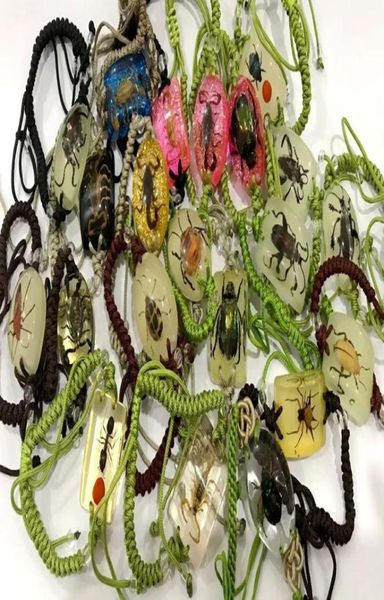 yqtdmy 10 pcs charming bracelet real scorpion mixed insect style magic colorful bangle8684949, Black
yqtdmy 10 pcs charming bracelet real scorpion mixed insect style magic colorful bangle8684949, Black