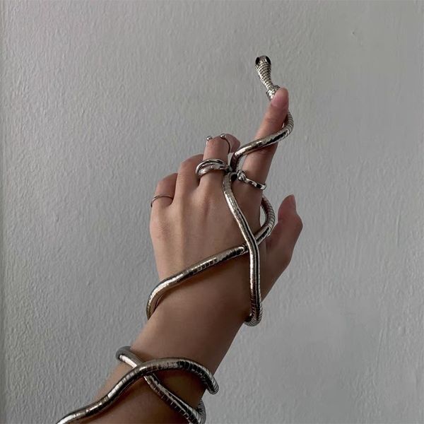 personalized winding snake shaped necklace european and american ins cold breeze sense of niche design spicy girl collar, Golden;silver
personalized winding snake shaped necklace european and american ins cold breeze sense of niche design spicy girl collar, Golden;silver