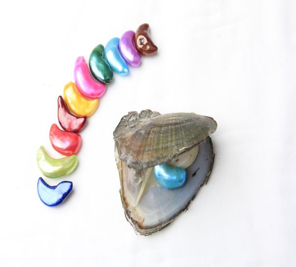 new arrival 825 mm crescent pearl freshwater oyster edison freshwater pearl with beautiful colors for gift2728988, White
new arrival 825 mm crescent pearl freshwater oyster edison freshwater pearl with beautiful colors for gift2728988, White