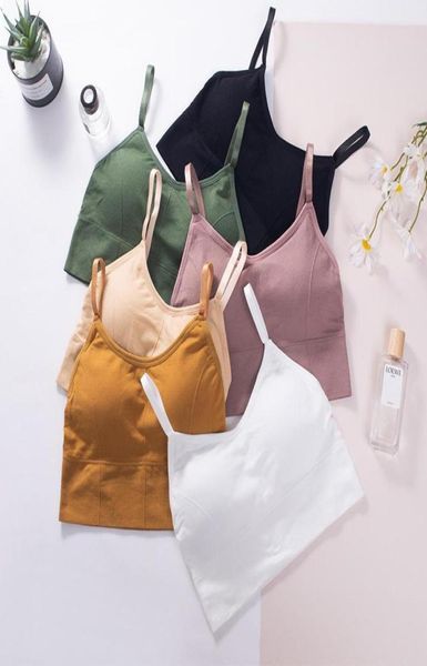 camisoles tanks women crop seamless underwear female tank camis lingerie intimates removable padded camisole femme spo1965597, Black;white
camisoles tanks women crop seamless underwear female tank camis lingerie intimates removable padded camisole femme spo1965597, Black;white