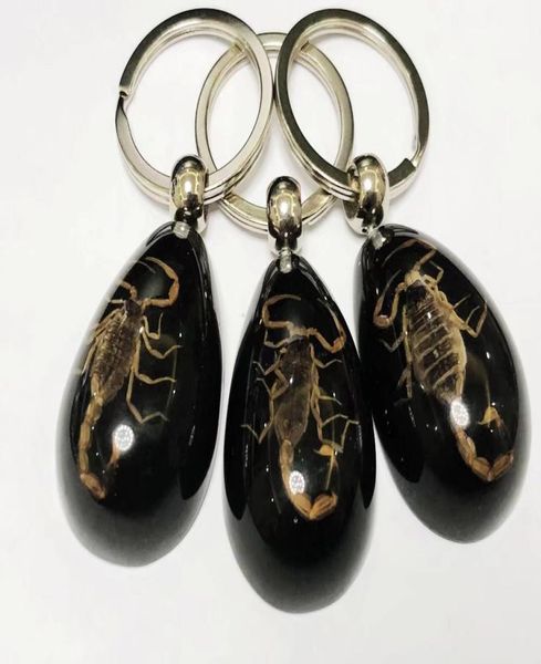 16 pcs keychains fashion accessories set real scorpion key chain black drop color product keychain car ring1291390, Slivery;golden
16 pcs keychains fashion accessories set real scorpion key chain black drop color product keychain car ring1291390, Slivery;golden