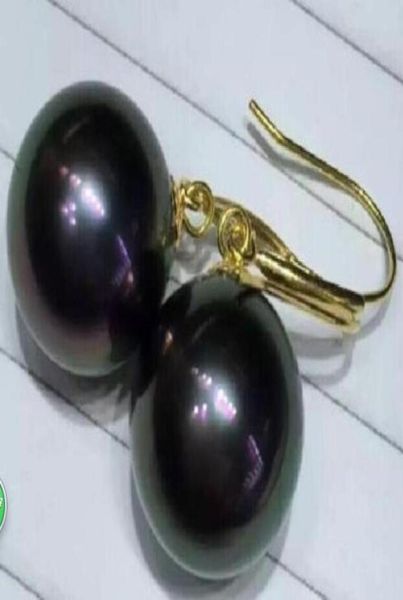 170319charmingnatural1011mmtahitianblackpearlearring14kyellowgold 170319charmingnatural1011mmtahitianblackpearlea31223199781487, Silver
170319charmingnatural1011mmtahitianblackpearlearring14kyellowgold 170319charmingnatural1011mmtahitianblackpearlea31223199781487, Silver