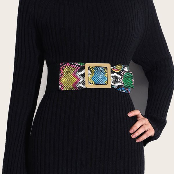 belts ladies snake print corset elastic wide waist dress decorative fashion belts for women luxury designer brand 230717, Black;brown
belts ladies snake print corset elastic wide waist dress decorative fashion belts for women luxury designer brand 230717, Black;brown