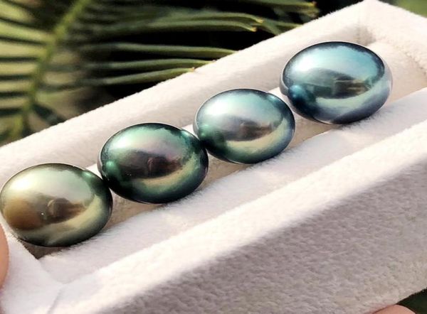whole 910mm aaa round akoya natural seawater tahiti pearl oyster black color for diy bracelet necklace ring holiday gift8622290, White
whole 910mm aaa round akoya natural seawater tahiti pearl oyster black color for diy bracelet necklace ring holiday gift8622290, White