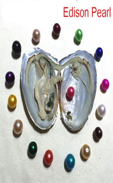 new diy 911mm edison pearl oyster fresh water akoya whole in shell vacuumpacked birthday gift pearl show2084146, White
new diy 911mm edison pearl oyster fresh water akoya whole in shell vacuumpacked birthday gift pearl show2084146, White