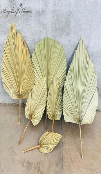dried flower palm fan leaf plants leaves home decor window wedding arch decor flower arrangement hanging flower wall9321781, Black
dried flower palm fan leaf plants leaves home decor window wedding arch decor flower arrangement hanging flower wall9321781, Black