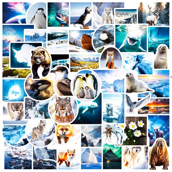50pcs polar landscape stickers waterproof vinyl stickers non-random for car bike luggage lapskateboard scrapbook water bottle decal
50pcs polar landscape stickers waterproof vinyl stickers non-random for car bike luggage lapskateboard scrapbook water bottle decal