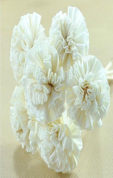 10pcs/lot dia 4.5cm handmade white cockscomb natrual so flower with rattan sticks for reed diffuser fragrance incense votilizer zh0404975145
10pcs/lot dia 4.5cm handmade white cockscomb natrual so flower with rattan sticks for reed diffuser fragrance incense votilizer zh0404975145
