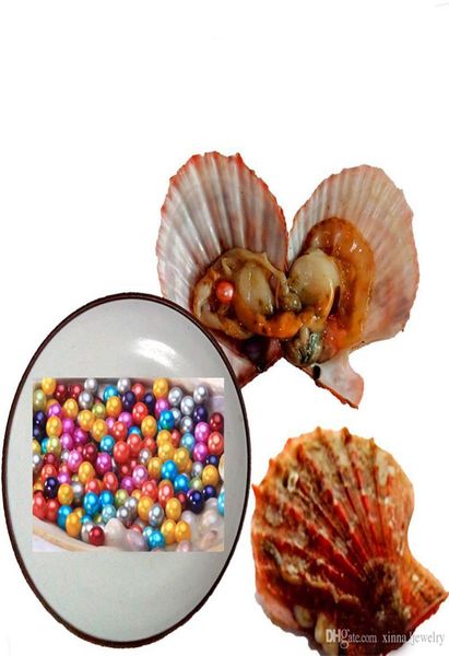 akoya red shell oyster pearl 67mm round pearl in oysters pearl shell with colouful pearls jewelry by vacuum packed whole4138217, White
akoya red shell oyster pearl 67mm round pearl in oysters pearl shell with colouful pearls jewelry by vacuum packed whole4138217, White