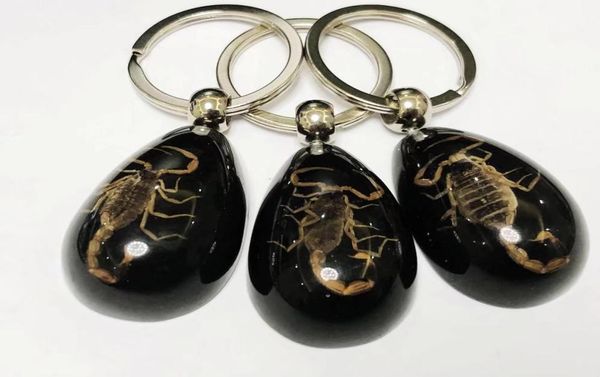 16 pcs keychains fashion accessories set real scorpion key chain black drop color product keychain car ring7168876, Slivery;golden
16 pcs keychains fashion accessories set real scorpion key chain black drop color product keychain car ring7168876, Slivery;golden