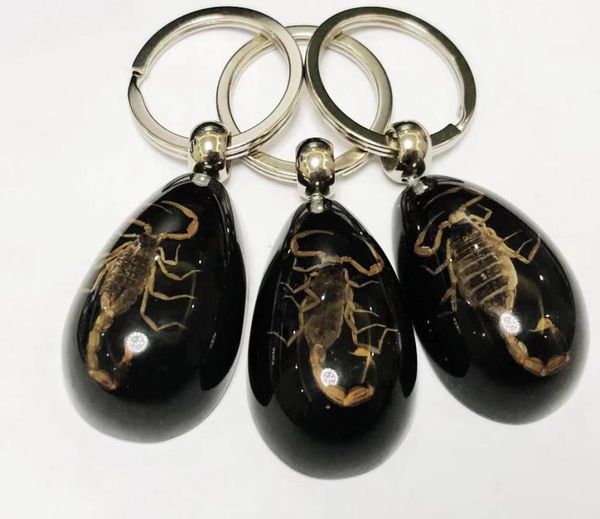16 pcs keychains fashion accessories set real scorpion key chain black drop color product keychain car ring2691656, Slivery;golden
16 pcs keychains fashion accessories set real scorpion key chain black drop color product keychain car ring2691656, Slivery;golden